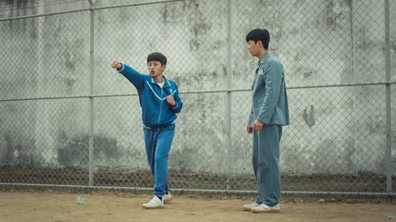 shark-the-beginning shark the beginning