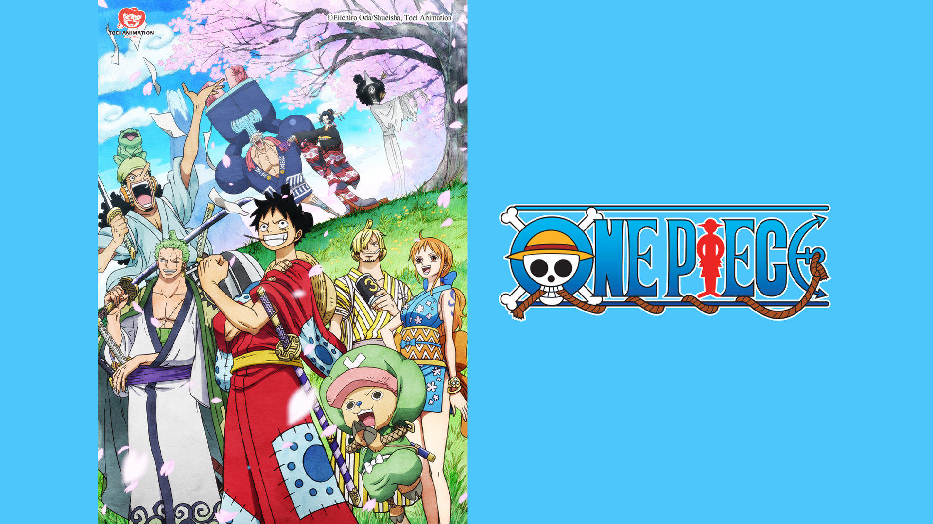 Những Bí Mật Về Quá Khứ Của Gol D. Roger: Sự Thật Đằng Sau Huyền Thoại Vua Hải Tặc Trong One Piece One Piece