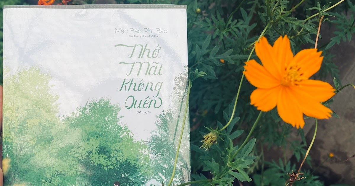 Review Nhớ mãi không muốn quên – Mặc Bảo Phi Bảo nho mai khong muon quen